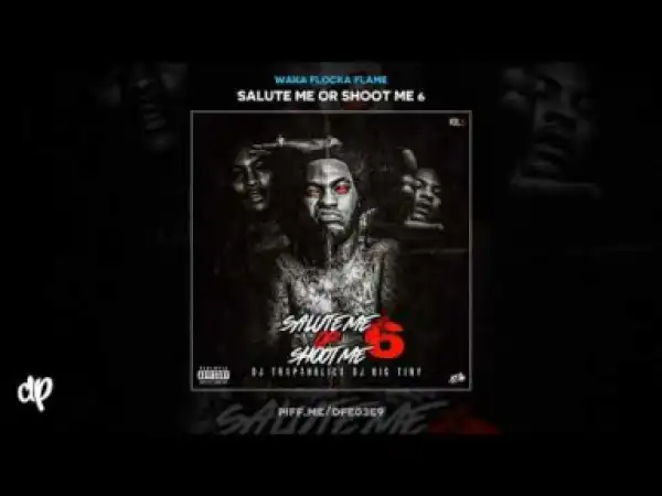 Salute Me Or Shoot Me 6 BY Waka Flocka Flame